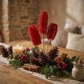 Luffa large on a stick red 25 pcs | Floristik24.co.uk
