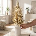Dried flowers white gold decorative cap flowers Phalaris 30cm 200g | Floristik24.co.uk