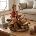 Dried Exotic Protea Cones Bellgum 24–48cm 580g - Artificial Flower Decoration South Africa | Floristik24.co.uk