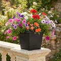 Pot “Nora” 23cm x 23cm H18.5cm anthracite 1 pc | Floristik24.co.uk