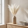 Dried flowers, silver grass. Elegant natural decoration for home and office. 70cm, 10 pieces. | Floristik24.co.uk