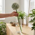 Artificial Allium flowering branch, lifelike appearance, 90cm | Floristik24.co.uk