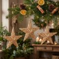 Decorative Rattan Stars Hanging 19cm 3-Piece Set Christmas Decoration | Floristik24.co.uk