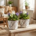 Decorative pot birch whitened plant pot Ø18cm H15cm 2pcs | Floristik24.co.uk