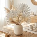 Palmspear Sun mini whitewashed 50 pcs | Floristik24.co.uk