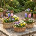 Plant basket woven basket oval willow 42/34/28cm set of 3 | Floristik24.co.uk