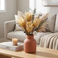 Proteen dried Repens cream 1st choice 10-12cm 25 pcs | Floristik24.co.uk
