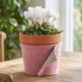 Felt ribbon, pot ribbon two-tone old pink/grey 15cm 5m | Floristik24.co.uk
