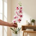 Orchid Phalaenopsis artificial 9 flowers white fuchsia 96cm | Floristik24.co.uk