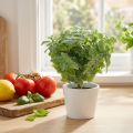 Mint artificial green 25cm 12 pcs | Floristik24.co.uk