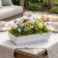 Socket bowl Lara 15cm x 8cm x 4cm 10pcs | Floristik24.co.uk