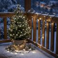 LED rice light chain 80s 6m for outside black/white | Floristik24.co.uk