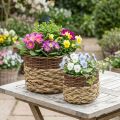 Wicker Basket Natural Wicker Plant Bowl Natural L30/22cm H20/17cm Set of 2 | Floristik24.co.uk