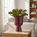 Goblet Flower Pot cup-shaped Modern style decor for home and office 23cm | Floristik24.co.uk