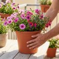 Pot “Irys” plastic terracotta Ø29cm H24cm 1 pc | Floristik24.co.uk