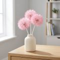 Giant dried dandelion decoration, elegant home accessory, 12cm, 4 pieces | Floristik24.co.uk