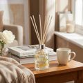 Fragrance sticks room fragrance glass vanilla white musk 100ml | Floristik24.co.uk