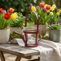 Lantern glass decoration watering can metal red Ø14cm H13cm | Floristik24.co.uk