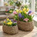 Plant basket with handle basket flower basket L23/35cm set of 2 | Floristik24.co.uk