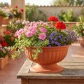 Bowl with base terracotta Ø35cm | Floristik24.co.uk