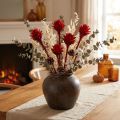 Plumosum 1 Red 25 pcs | Floristik24.co.uk