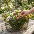 Wire basket oval with handle 27x16.5cm H13.5cm brown | Floristik24.co.uk