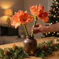 Amaryllis Decoration Flowers in Orange Artificial L55cm 2pcs | Floristik24.co.uk