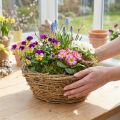 Round Natural Wicker Planter with Plastic Lining Ø23cm H9.5cm | Floristik24.co.uk