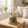 Glass bell on wooden tray, glass jar, clear, natural, Ø17cm, H24cm | Floristik24.co.uk