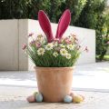 Bunny Decoration Ears Pink for Easter Flocked Stick H56cm | Floristik24.co.uk