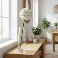 Decorative flower Allium, artificial ball leek, ornamental onion white Ø20cm L72cm | Floristik24.co.uk