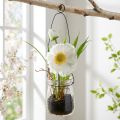 Poppy in glass for hanging. White. H22cm | Floristik24.co.uk