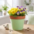 Felt Ribbon Pot Ribbon Light Green 15cm 5m | Floristik24.co.uk