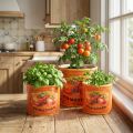 Tomato Plant Pot Set, Ceramic Decorative Flower Pots for Kitchen and Retro Decor, 14cm, Set of 3 | Floristik24.co.uk