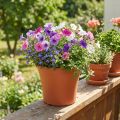 Pot “Irys” plastic terracotta Ø17cm H14cm 1 pc | Floristik24.co.uk