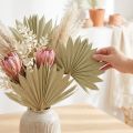 Palmspear Sun mini nature 50 pcs | Floristik24.co.uk