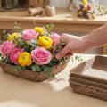 Oasis Biolit Basic Floral Foam 13x13x2cm 12-Piece Set Flower Decoration DIY | Floristik24.co.uk