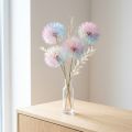 Dandelion decoration, dried flower, stabilized and dyed, delicate, durable, 12cm, 4 pieces | Floristik24.co.uk