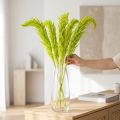 Amaranth Dried flowers Dyed light green for special home decor and unique accents 100cm 5 pieces | Floristik24.co.uk