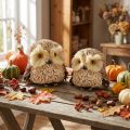 Owl decoration figures autumn with cones 12.5×10×10cm 2pcs | Floristik24.co.uk