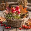 Fly agaric decoration mushrooms wooden mushrooms autumn decoration H6/8/10cm set of 3 | Floristik24.co.uk