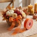 Organza ribbon gift ribbon orange ribbon selvedge 25mm 50m | Floristik24.co.uk