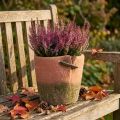 Concrete flower pot planter terracotta pot Ø18cm H17cm | Floristik24.co.uk