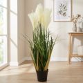 Reed grass in a pot Artificial potted plant Cream, Green 79cm | Floristik24.co.uk
