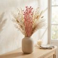 Strawberry Thistle Dried Flowers in Dusty Pink, 50-60cm, 100g | Floristik24.co.uk