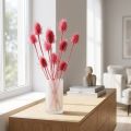 Pink Dried Teasel - Natural Thistle 53cm 10 Stems | Floristik24.co.uk