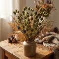 Eryngium Straw Green Olive Ø1–2cm L55cm 100g | Floristik24.co.uk