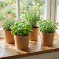Planter, flowerpot, paper planter natural Ø15cm H13cm 4pcs | Floristik24.co.uk
