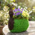 Planter Snail Vine Natural, Green 21x14cm H26cm | Floristik24.co.uk