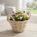 Decorative chip basket with handles for versatile design ideas | Floristik24.co.uk